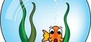 Don't Skip Rocks : Love Thy Fish Don't Skip Rocks : Love Thy Fish